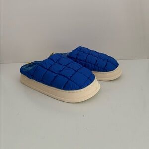 Men Royal Blue  Slippers